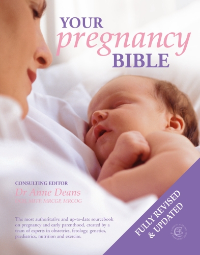 Your Pregnancy Bible