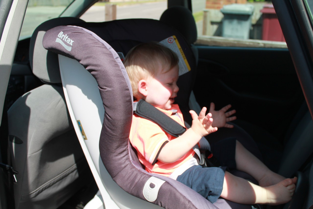 0391 Dexters Throne! The BRITAX MAX FIX Rearward Facing Car Seat!