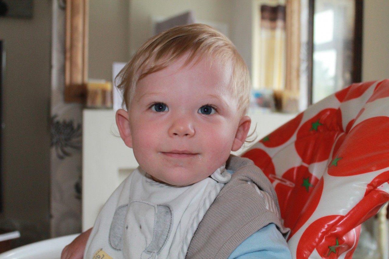 002 My Tips and Tricks for Dealing with Fussy Eaters