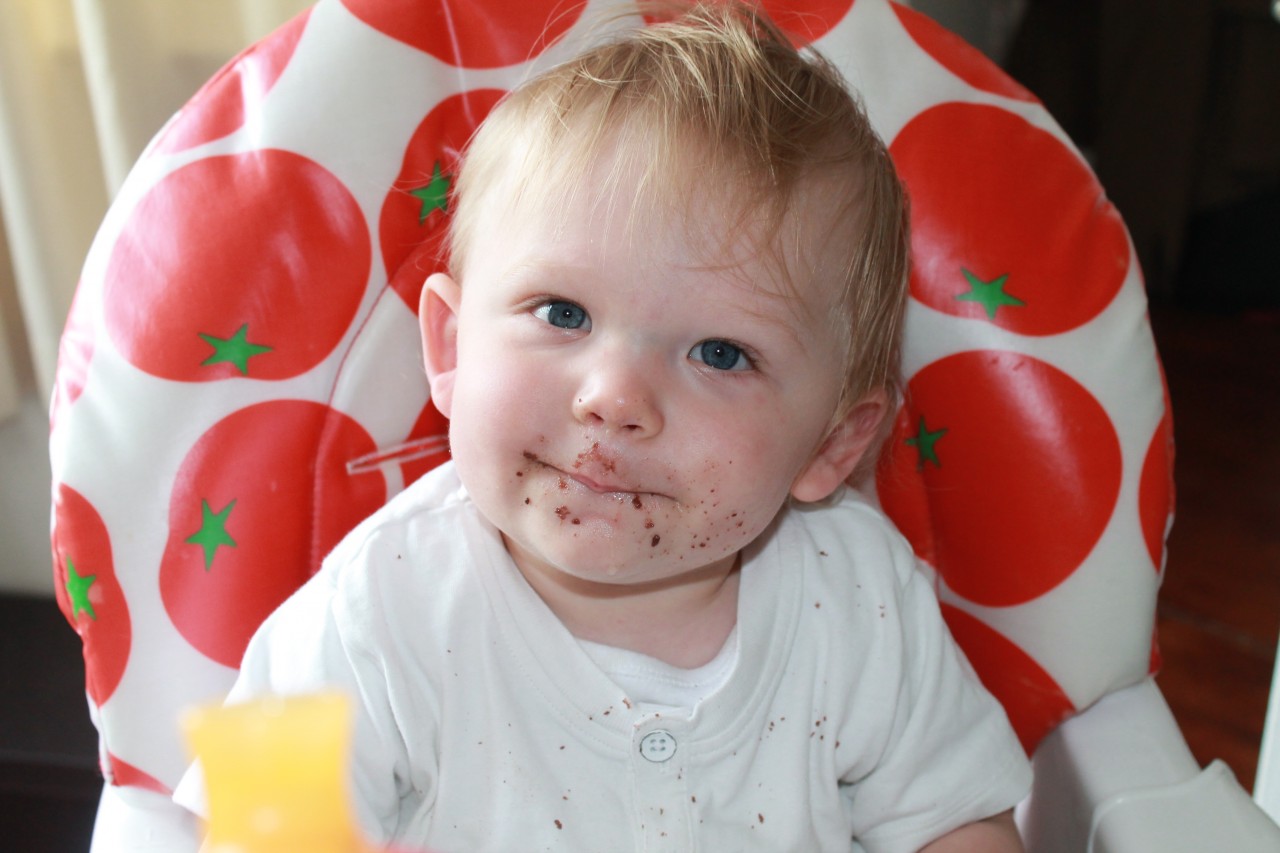 003 My Tips and Tricks for Dealing with Fussy Eaters