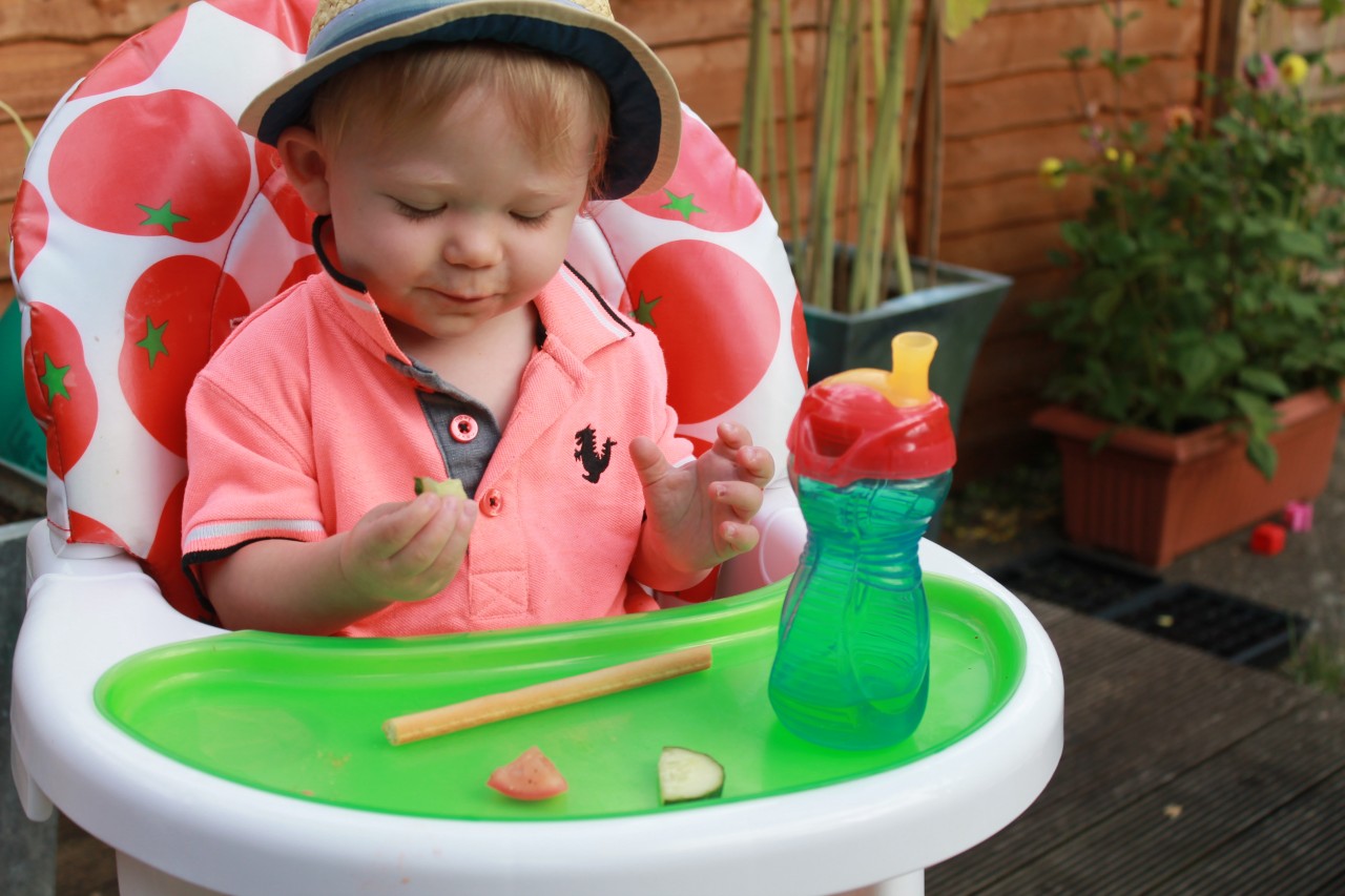 158 My Tips and Tricks for Dealing with Fussy Eaters