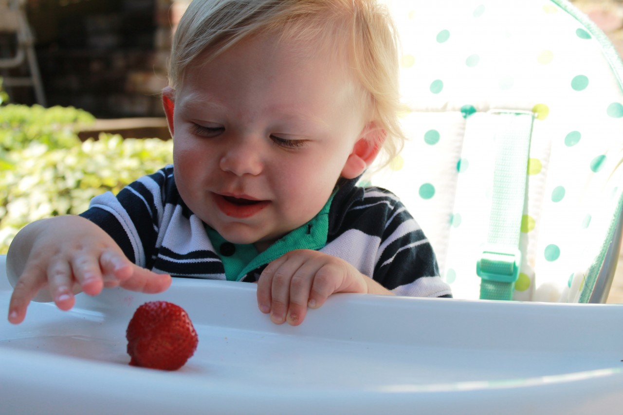 203 My Tips and Tricks for Dealing with Fussy Eaters