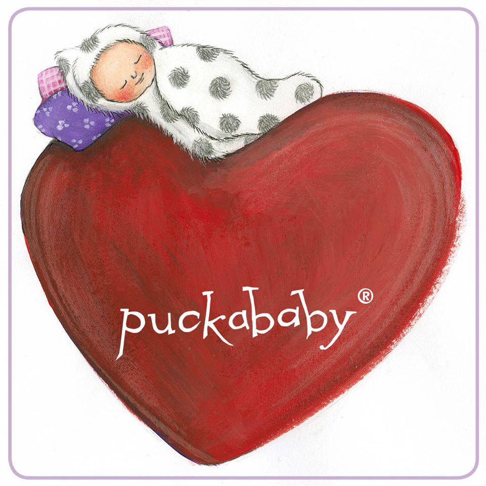 1075890 203024559861792 692268402 n Announcing my #BritMumsLive 2014 Sponsor No.1   Puckababy
