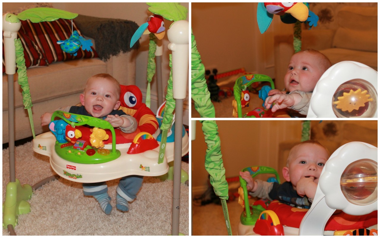 Jumperoo Heidi reviews: The Fisher Price Rainforest Friends Infant to Toddler Portable Rocker
