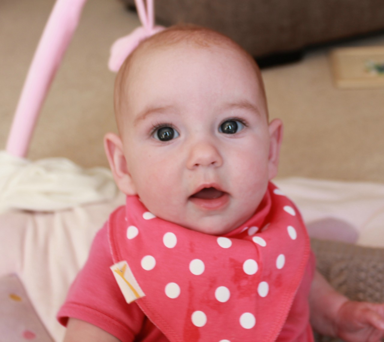 index1 Funky Giraffe Bibs Review