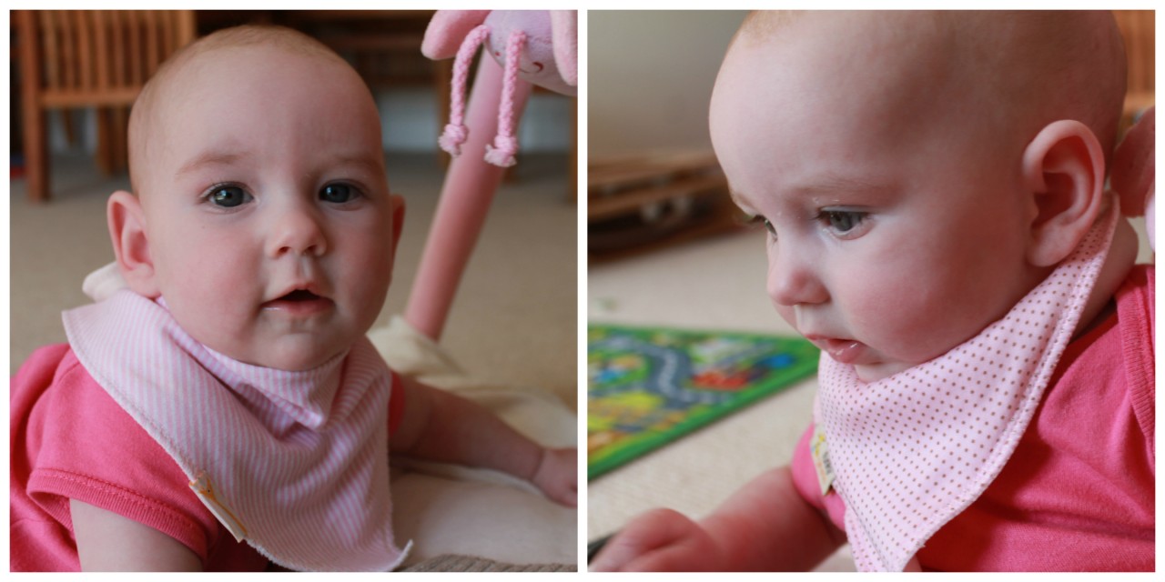 index3 Funky Giraffe Bibs Review