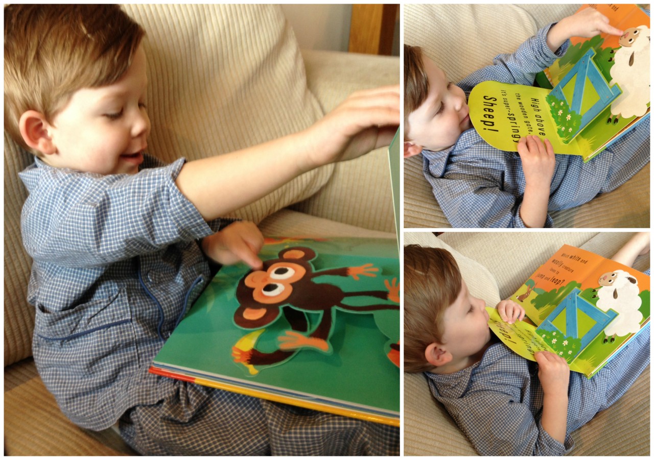 little snapper Pop up fun with Little Snappers books