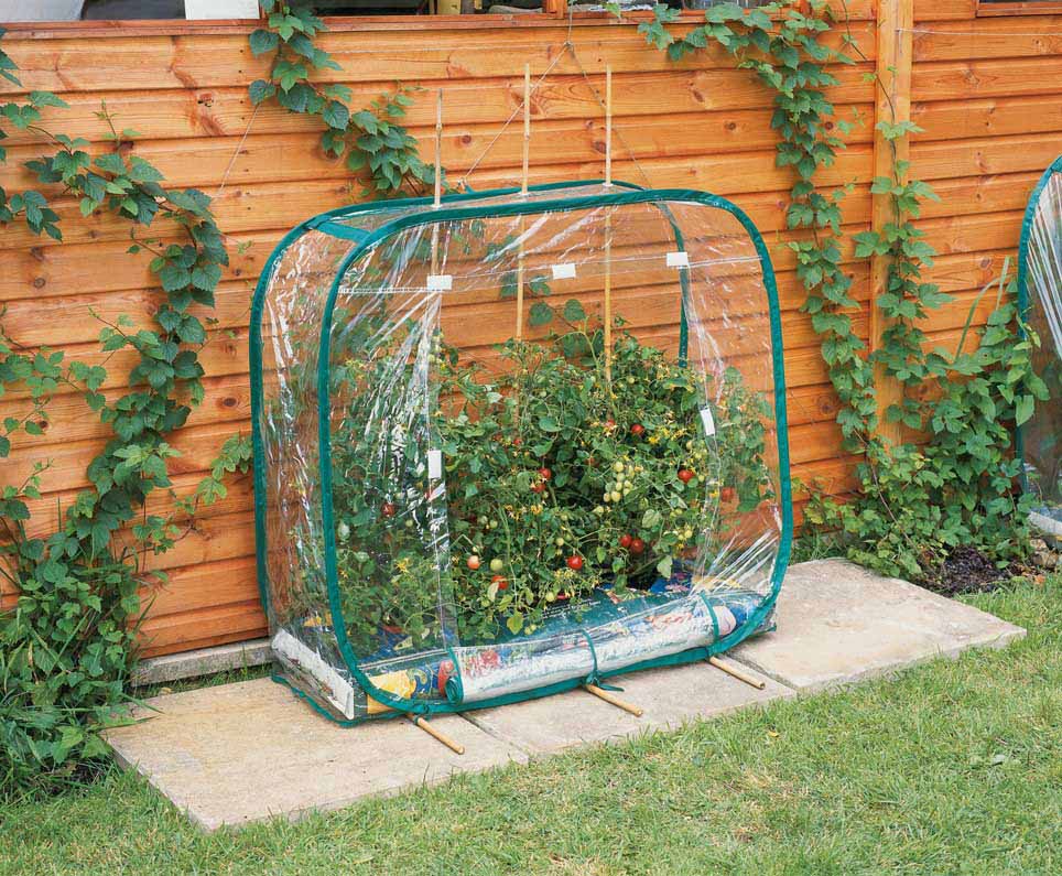 Growbag Greenhouse copy