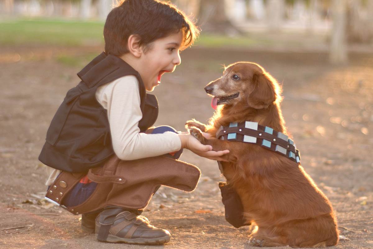 151125-kid-with-dog-yh-1230p_a1d5c6f352b67e37690c51559fbcc4cc.nbcnews-fp-1200-800