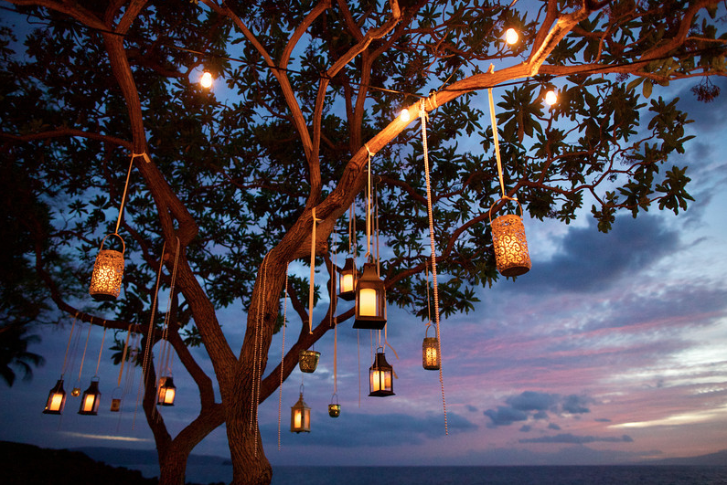 tree-lanterns-night-2